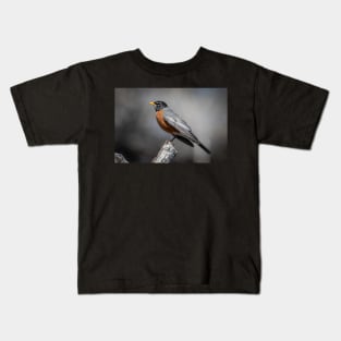 American Robin Kids T-Shirt